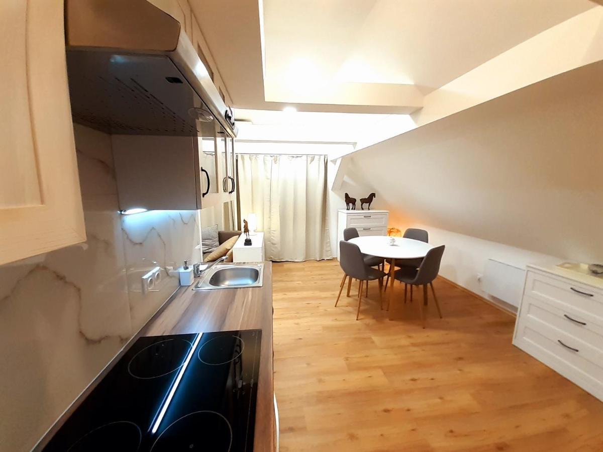 Apartmany V Centru - Lazne Kynzvart Exterior foto